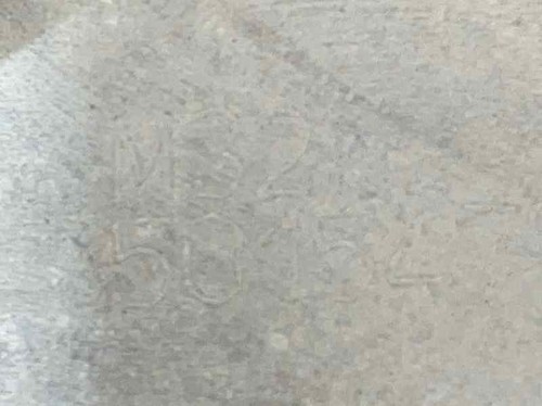 M32019d 157547 getriebe - m32019d,